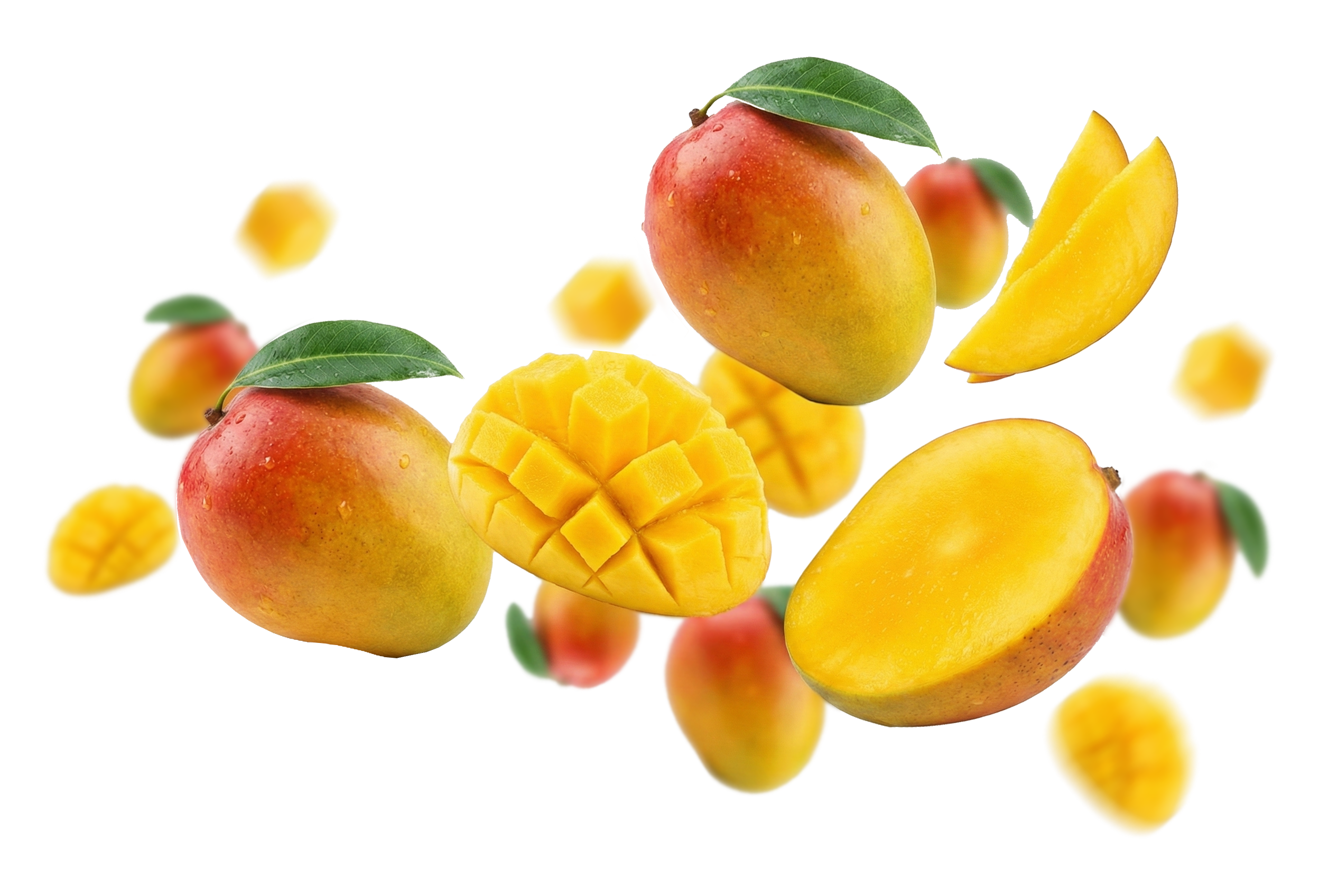 Świeże pomidory