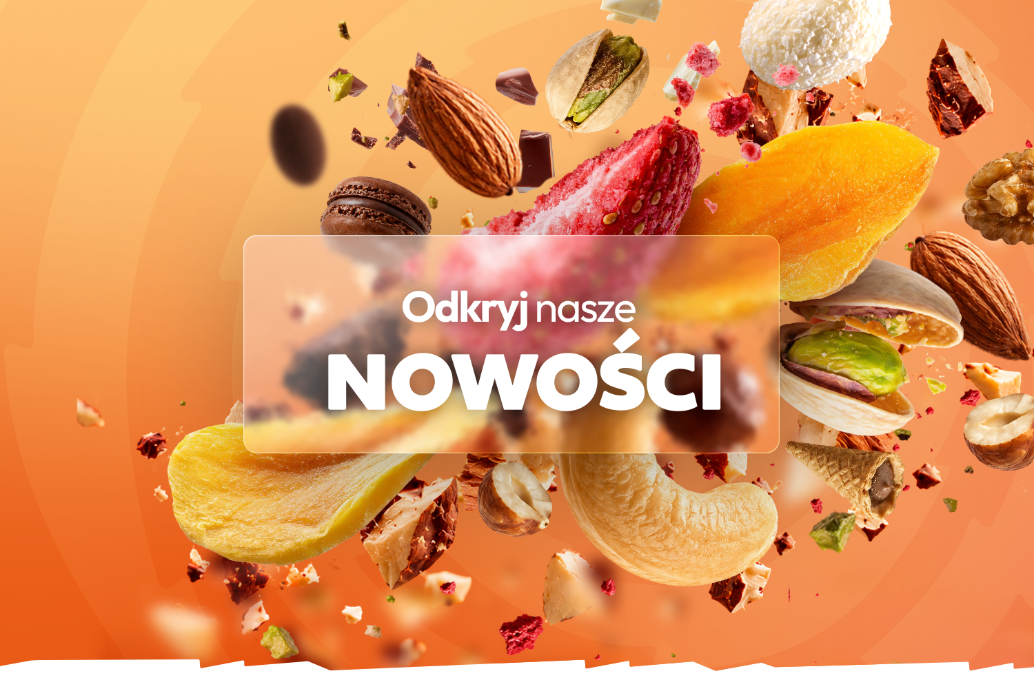 Odkryj nasze nowości